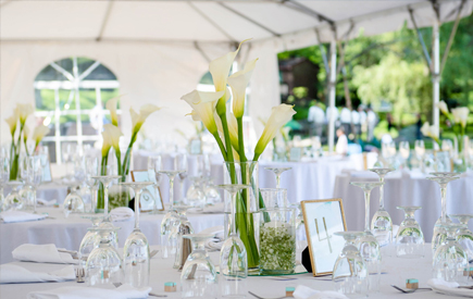 Split Rock Resort – Outdoor Receptions