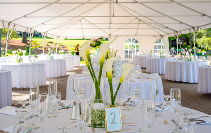Split Rock Resort – Outdoor Receptions